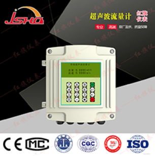 TDS-100中文固定式超声波流量计
